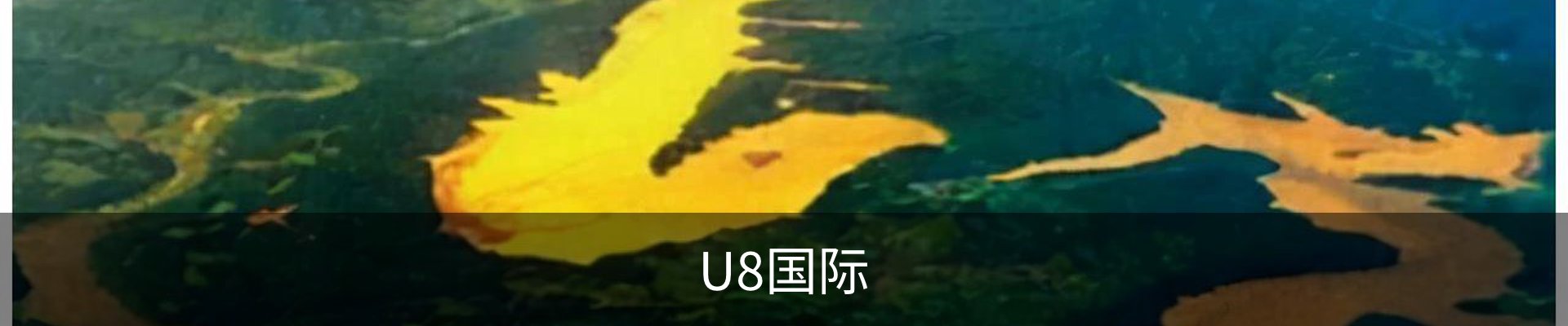 U8国际·(中国)U8国际官方网站 | U Eight Int